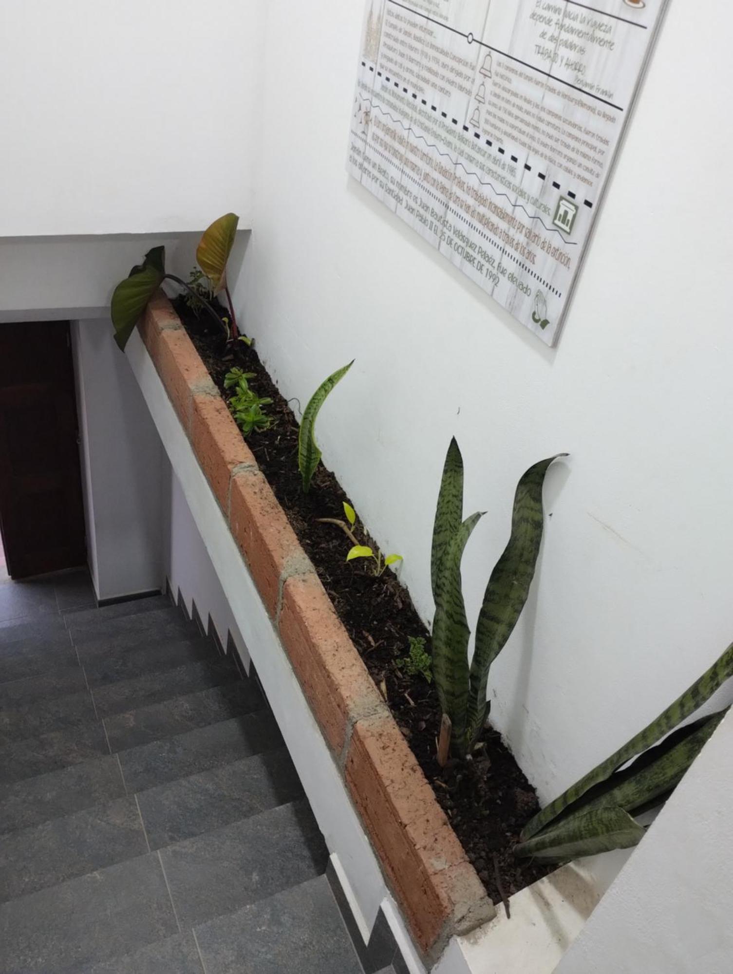 Ferienwohnung Montesco Jardín Exterior foto